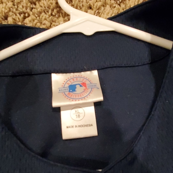 Minnesota Twins MLB Jersey - Picture 2 of 6